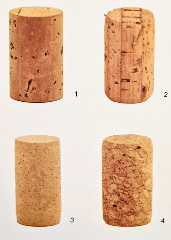 the important choice cork2