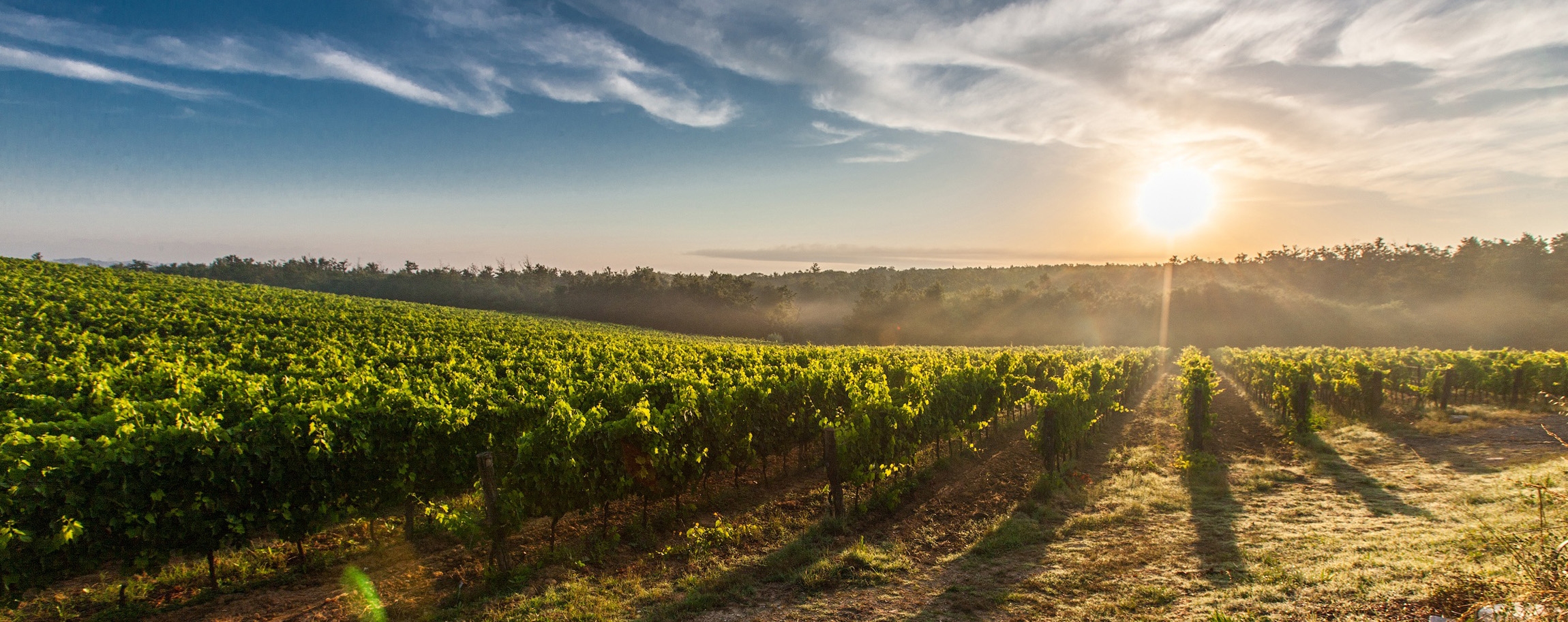 chianti-riufina-area